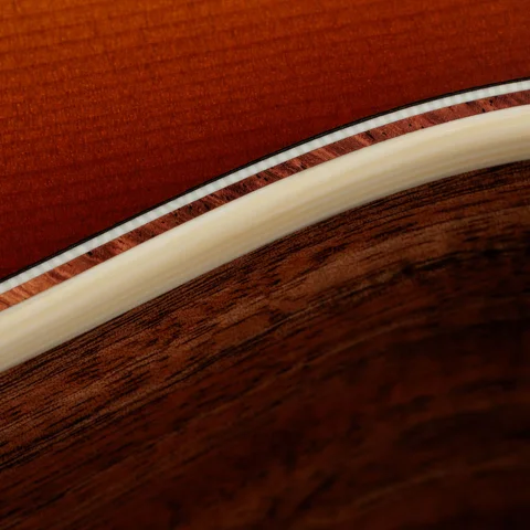 Acoustic／ SeriesギターTaylor Guitars